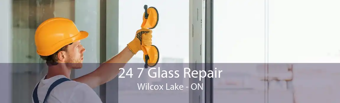 24 7 Glass Repair Wilcox Lake - ON