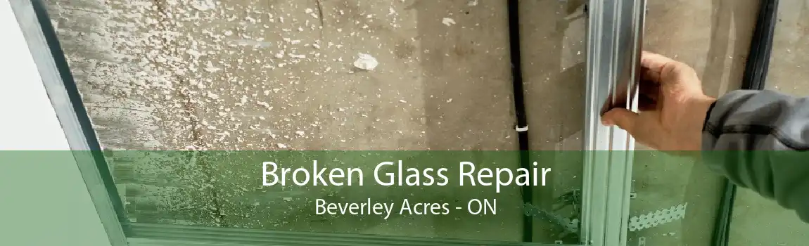 Broken Glass Repair Beverley Acres - ON
