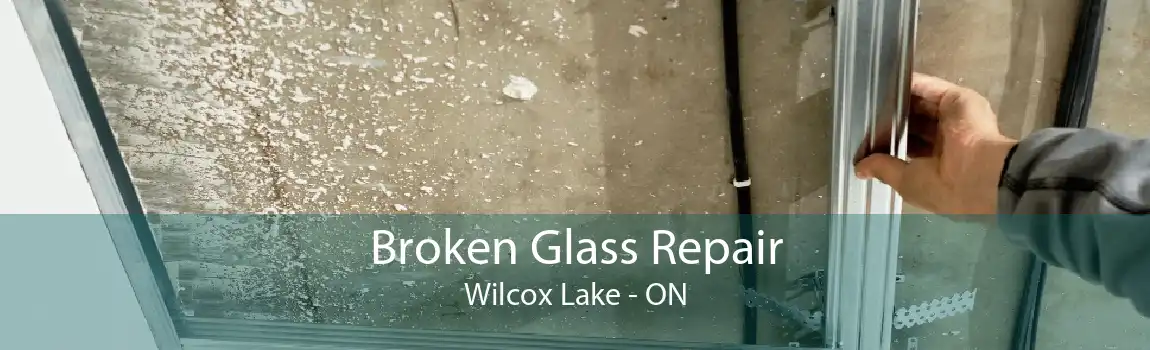 Broken Glass Repair Wilcox Lake - ON