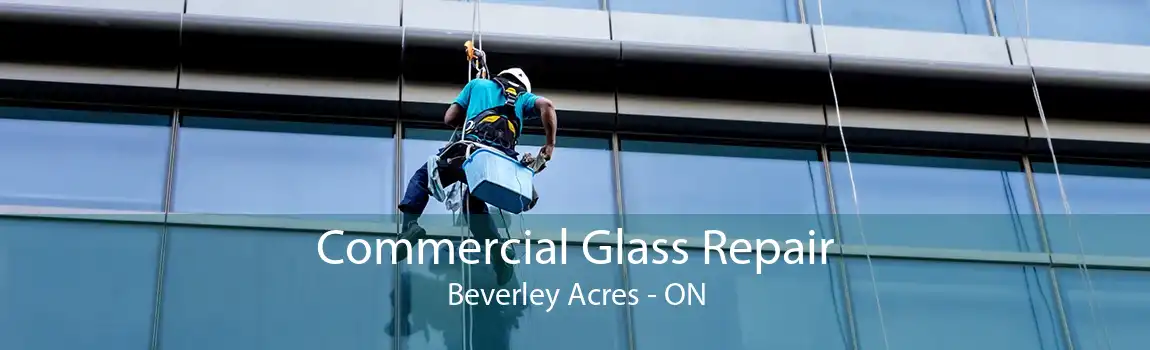 Commercial Glass Repair Beverley Acres - ON