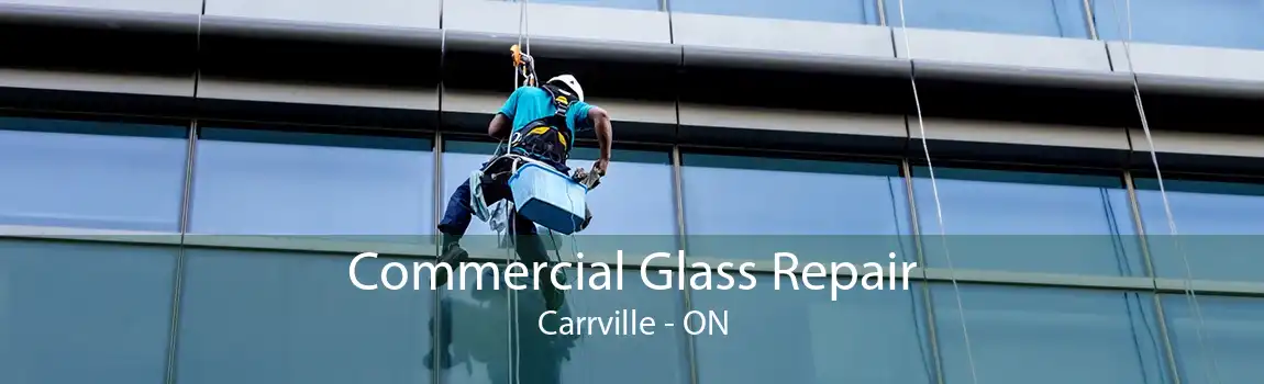 Commercial Glass Repair Carrville - ON