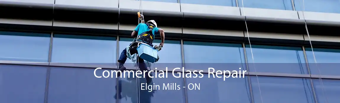 Commercial Glass Repair Elgin Mills - ON