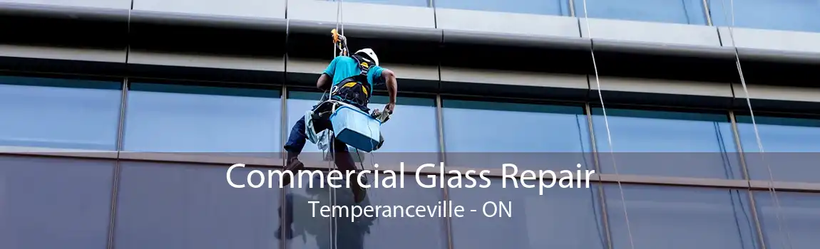 Commercial Glass Repair Temperanceville - ON