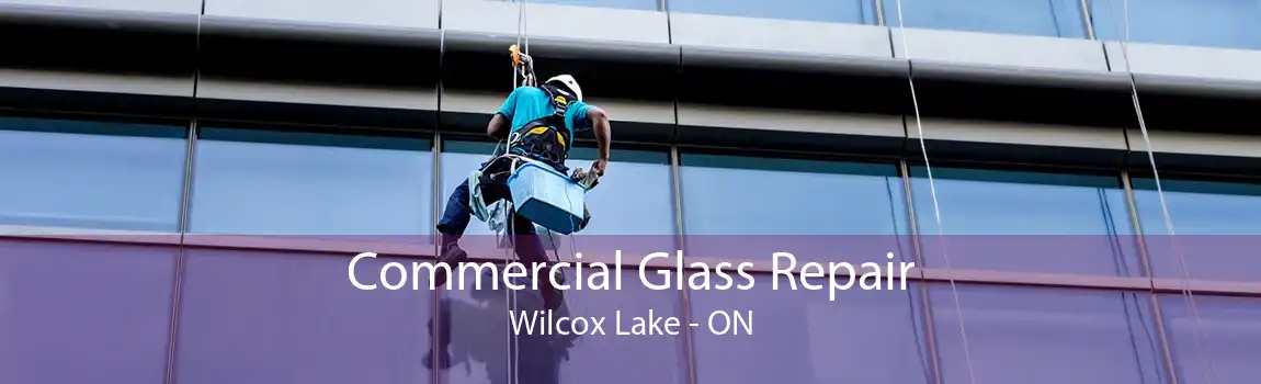 Commercial Glass Repair Wilcox Lake - ON