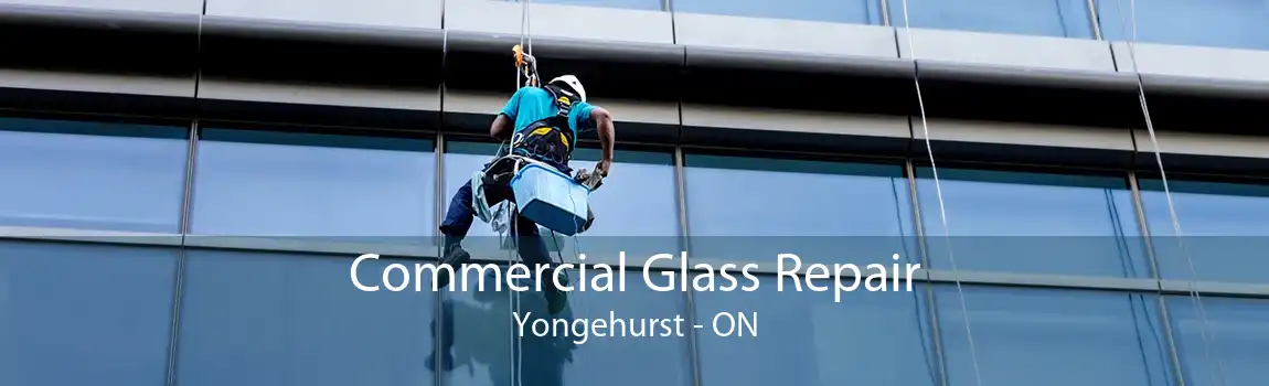 Commercial Glass Repair Yongehurst - ON