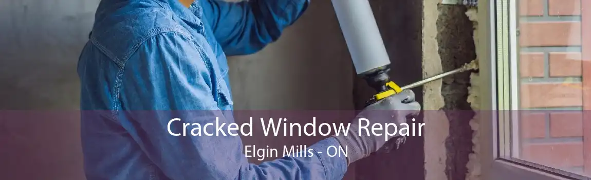 Cracked Window Repair Elgin Mills - ON