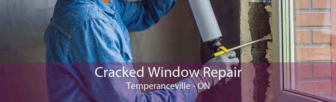 Cracked Window Repair Temperanceville - ON