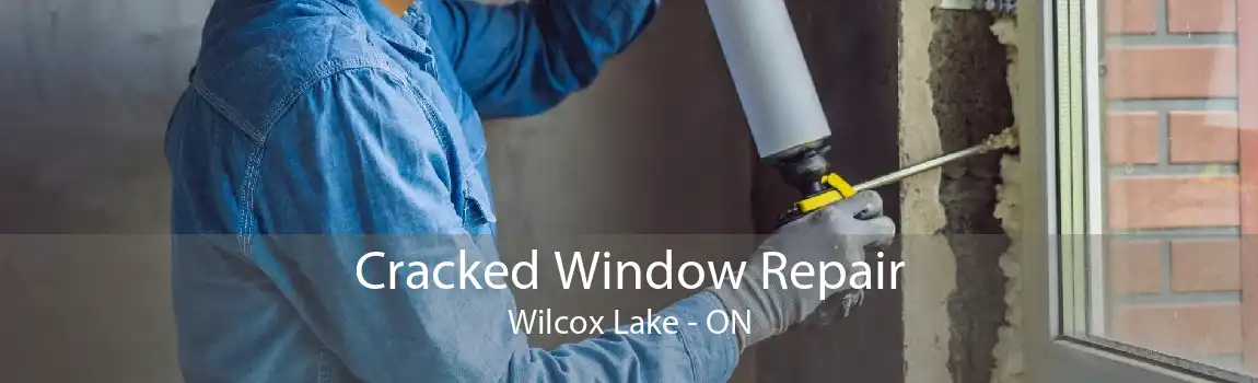 Cracked Window Repair Wilcox Lake - ON