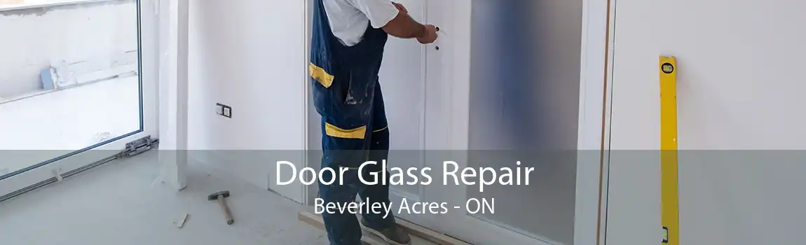 Door Glass Repair Beverley Acres - ON