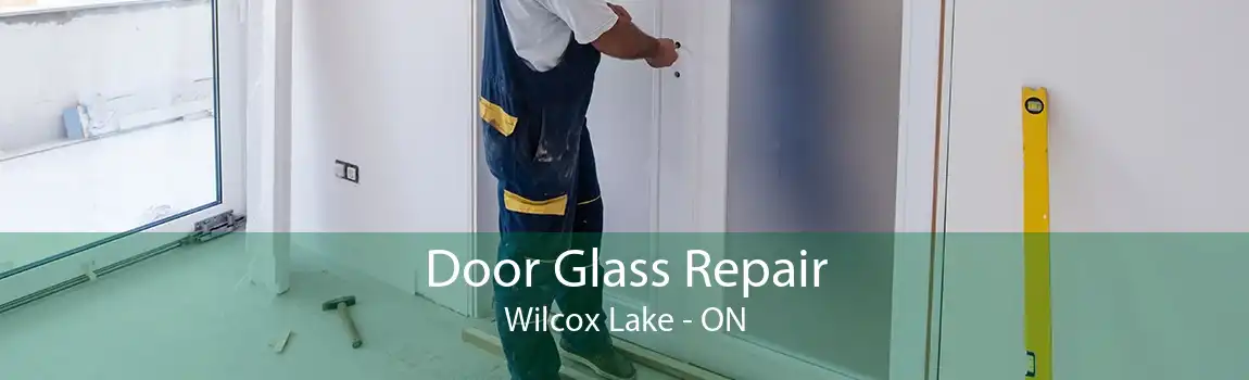 Door Glass Repair Wilcox Lake - ON