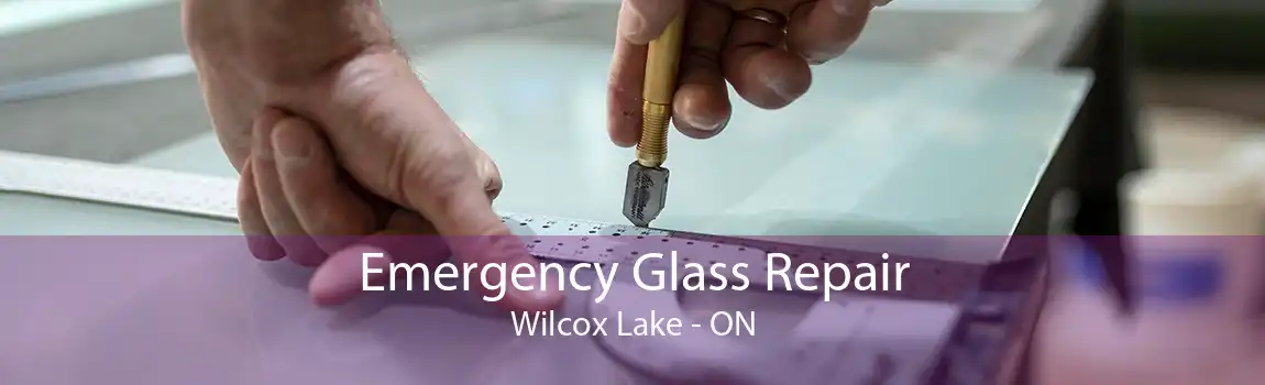 Emergency Glass Repair Wilcox Lake - ON