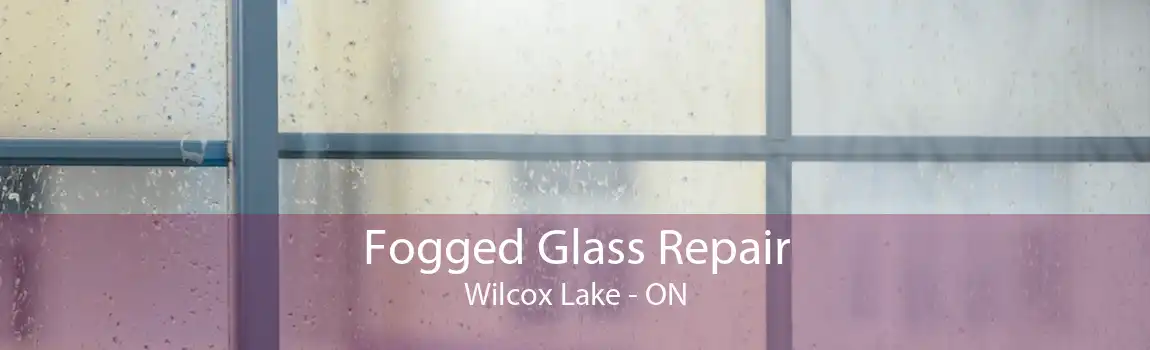 Fogged Glass Repair Wilcox Lake - ON