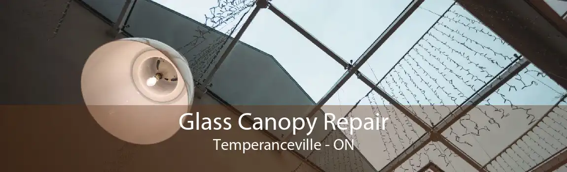 Glass Canopy Repair Temperanceville - ON