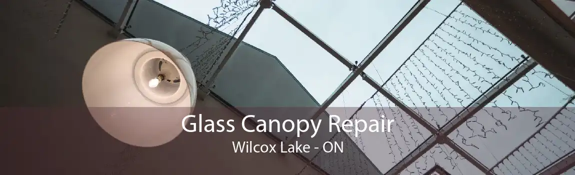 Glass Canopy Repair Wilcox Lake - ON