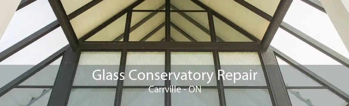 Glass Conservatory Repair Carrville - ON