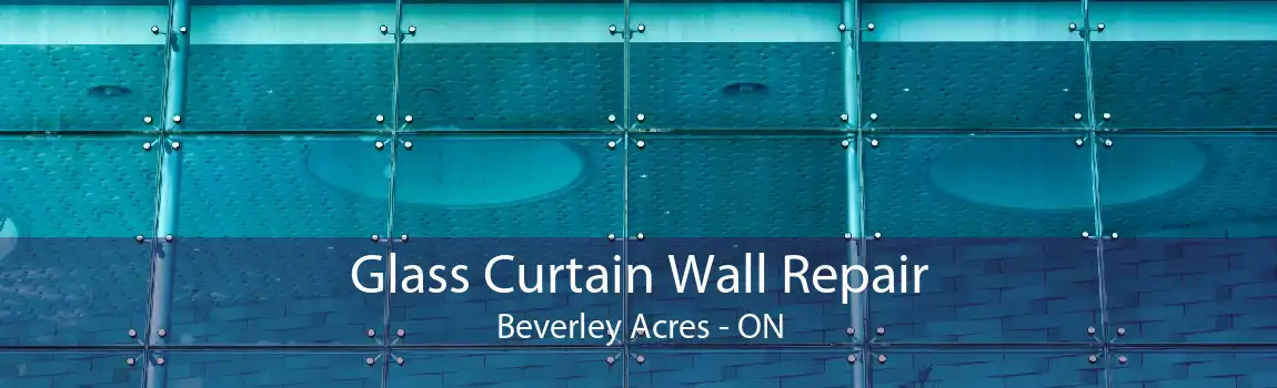 Glass Curtain Wall Repair Beverley Acres - ON