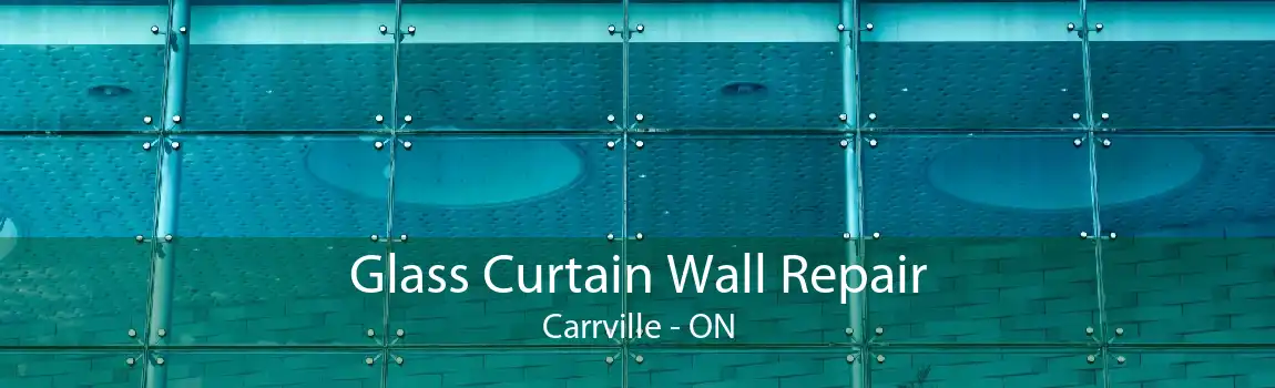 Glass Curtain Wall Repair Carrville - ON