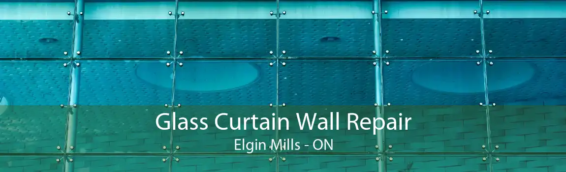 Glass Curtain Wall Repair Elgin Mills - ON