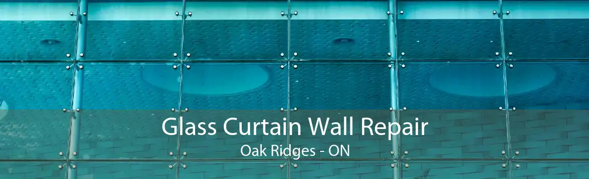 Glass Curtain Wall Repair Oak Ridges - ON
