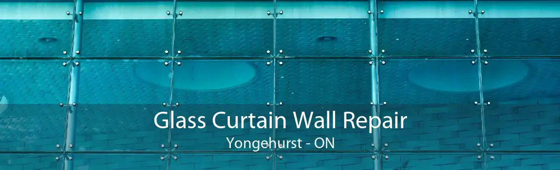 Glass Curtain Wall Repair Yongehurst - ON