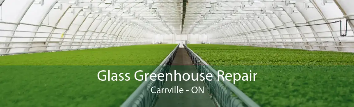 Glass Greenhouse Repair Carrville - ON
