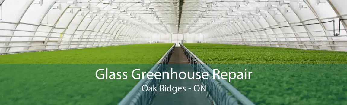 Glass Greenhouse Repair Oak Ridges - ON