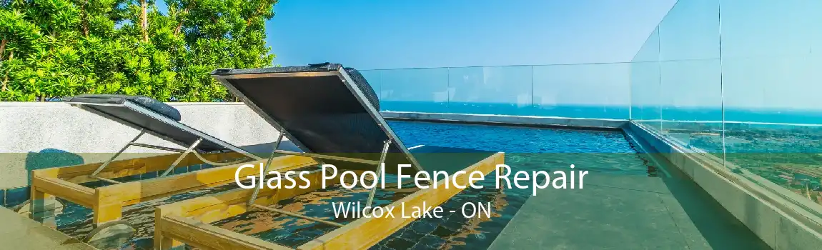 Glass Pool Fence Repair Wilcox Lake - ON