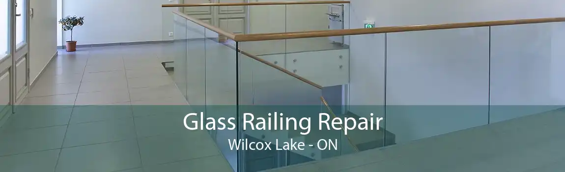 Glass Railing Repair Wilcox Lake - ON