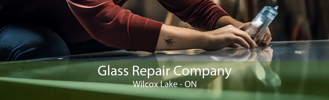 Glass Repair Company Wilcox Lake - ON