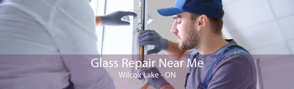 Glass Repair Near Me Wilcox Lake - ON