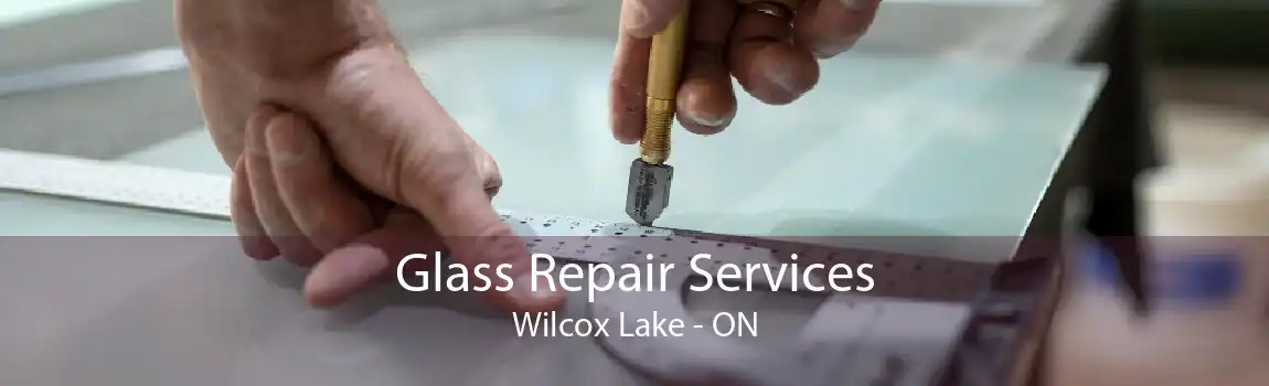 Glass Repair Services Wilcox Lake - ON