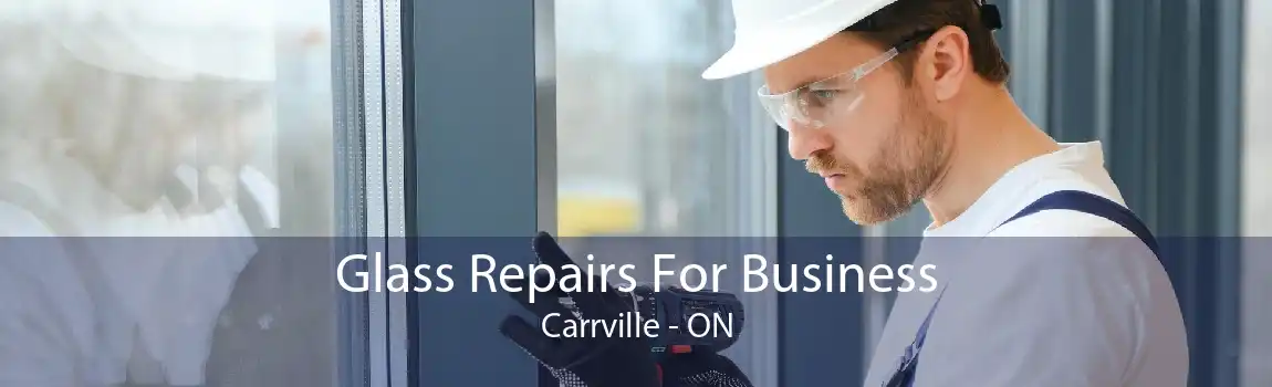 Glass Repairs For Business Carrville - ON
