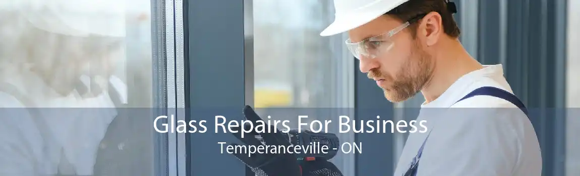 Glass Repairs For Business Temperanceville - ON