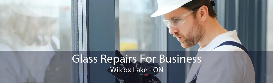 Glass Repairs For Business Wilcox Lake - ON