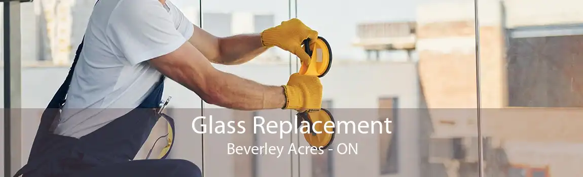 Glass Replacement Beverley Acres - ON