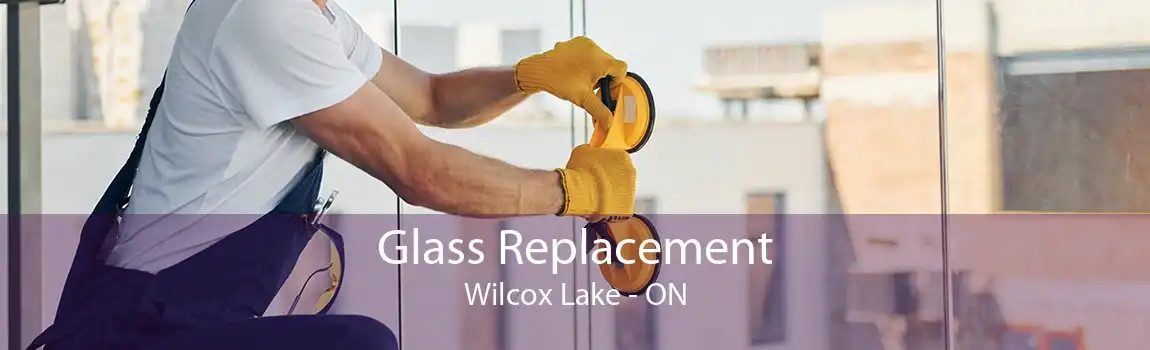 Glass Replacement Wilcox Lake - ON