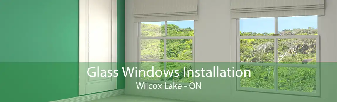 Glass Windows Installation Wilcox Lake - ON