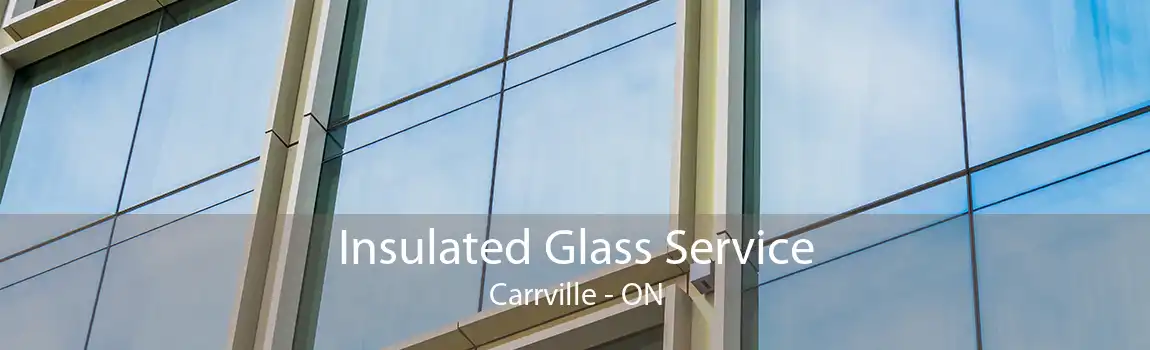 Insulated Glass Service Carrville - ON