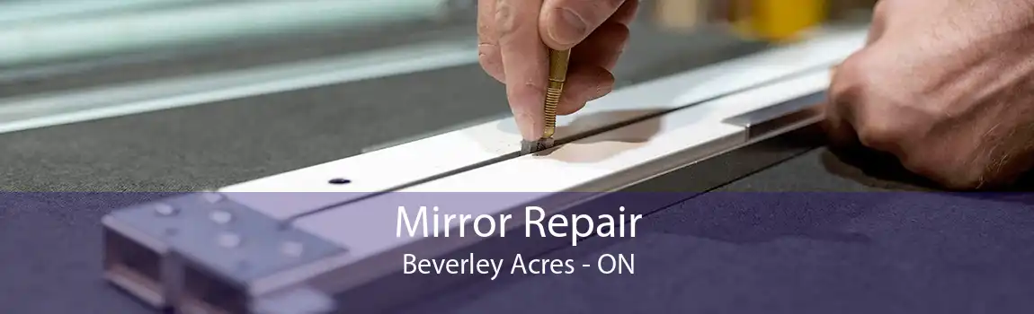 Mirror Repair Beverley Acres - ON