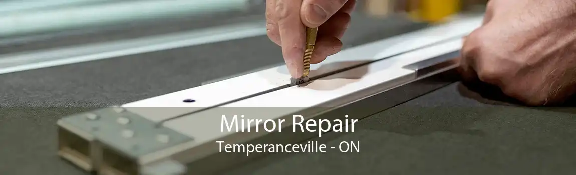 Mirror Repair Temperanceville - ON