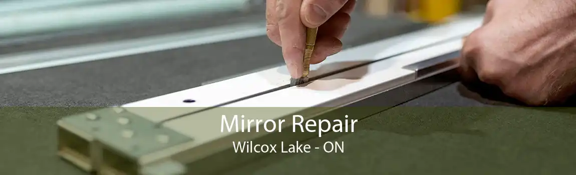 Mirror Repair Wilcox Lake - ON