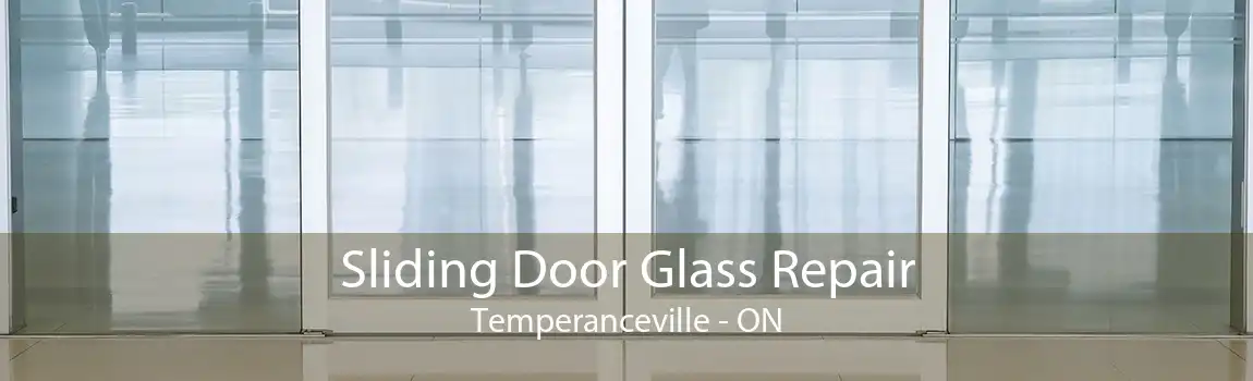 Sliding Door Glass Repair Temperanceville - ON