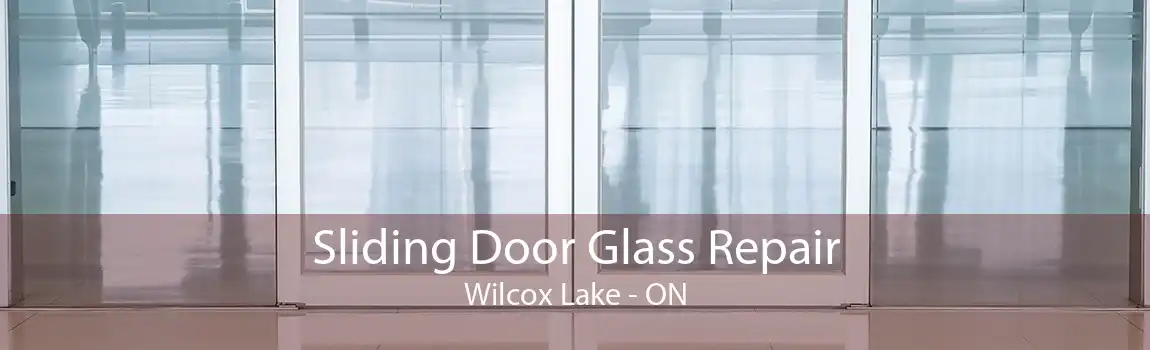 Sliding Door Glass Repair Wilcox Lake - ON