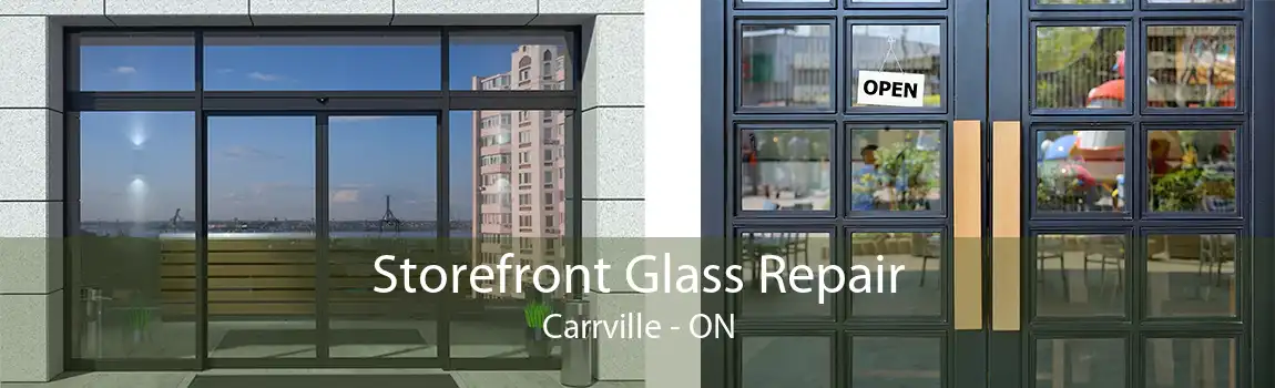 Storefront Glass Repair Carrville - ON