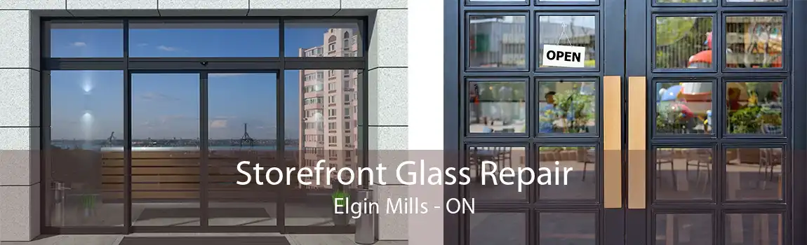 Storefront Glass Repair Elgin Mills - ON
