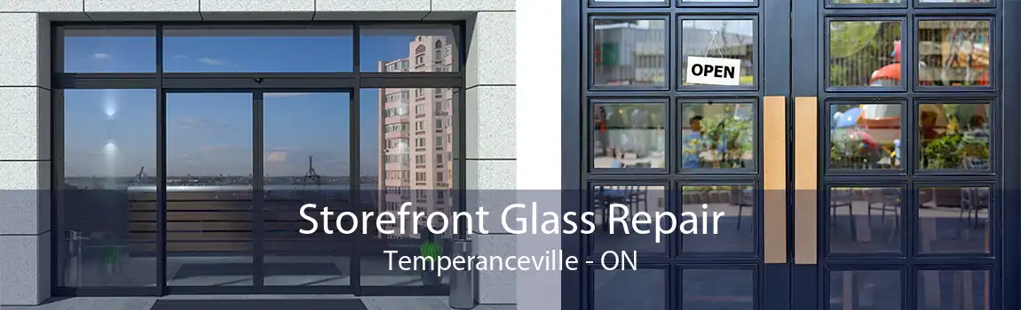 Storefront Glass Repair Temperanceville - ON