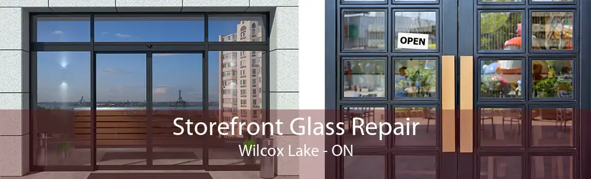 Storefront Glass Repair Wilcox Lake - ON