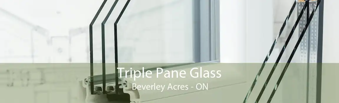 Triple Pane Glass Beverley Acres - ON