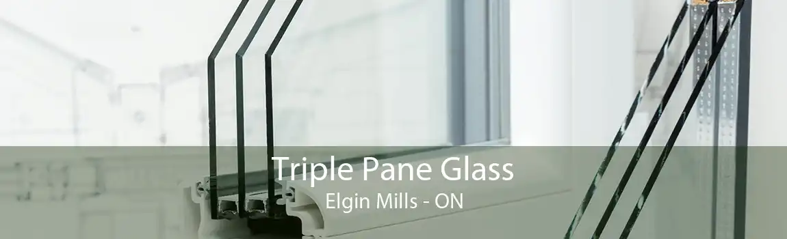 Triple Pane Glass Elgin Mills - ON