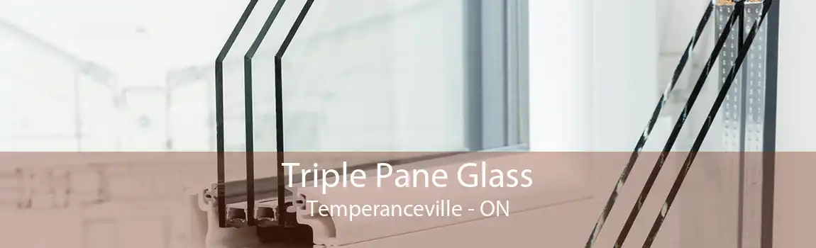Triple Pane Glass Temperanceville - ON